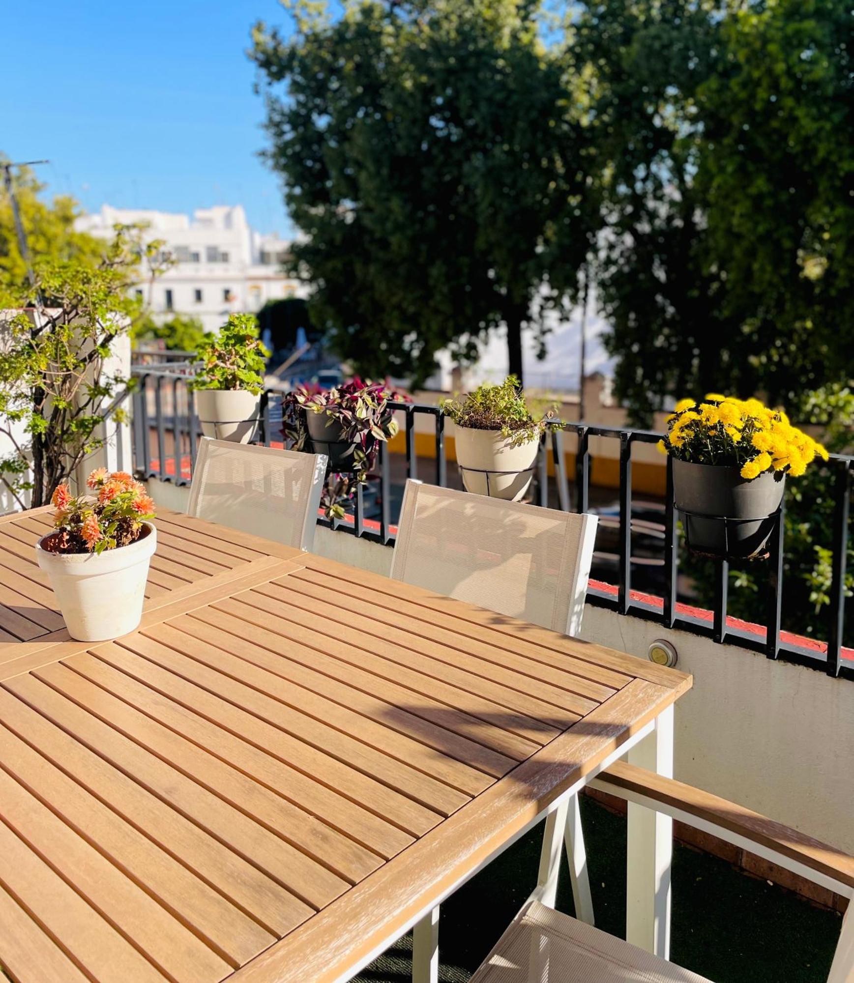 Apartamento La Terraza De Triana